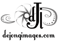 Vancouver photographer logo design